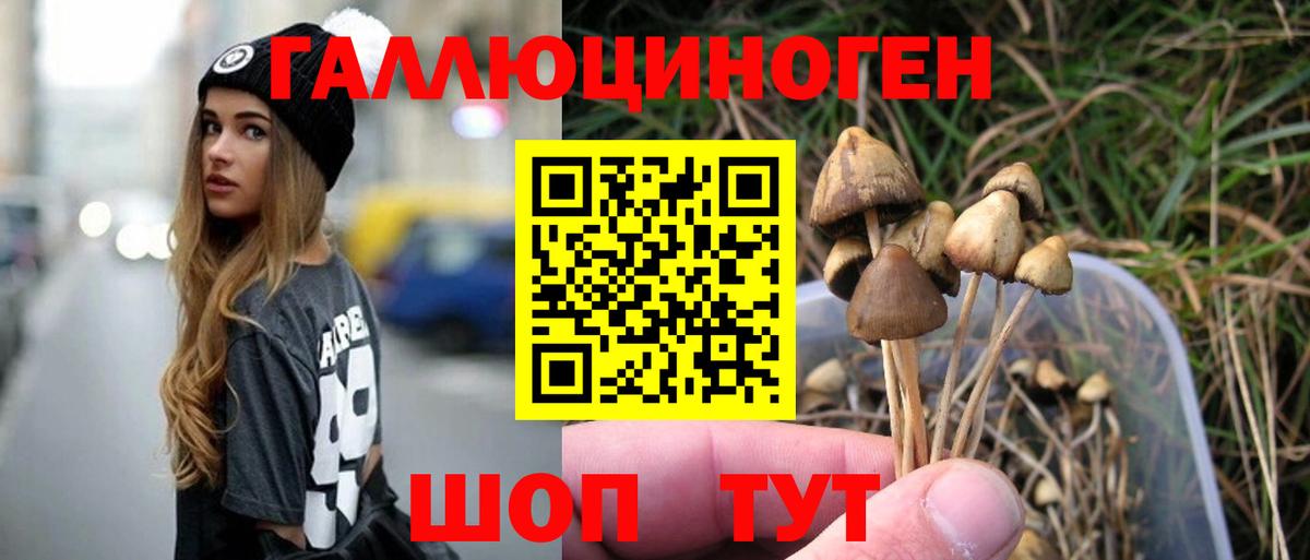 Галлюциногенные грибы GOLDEN TEACHER Майский
